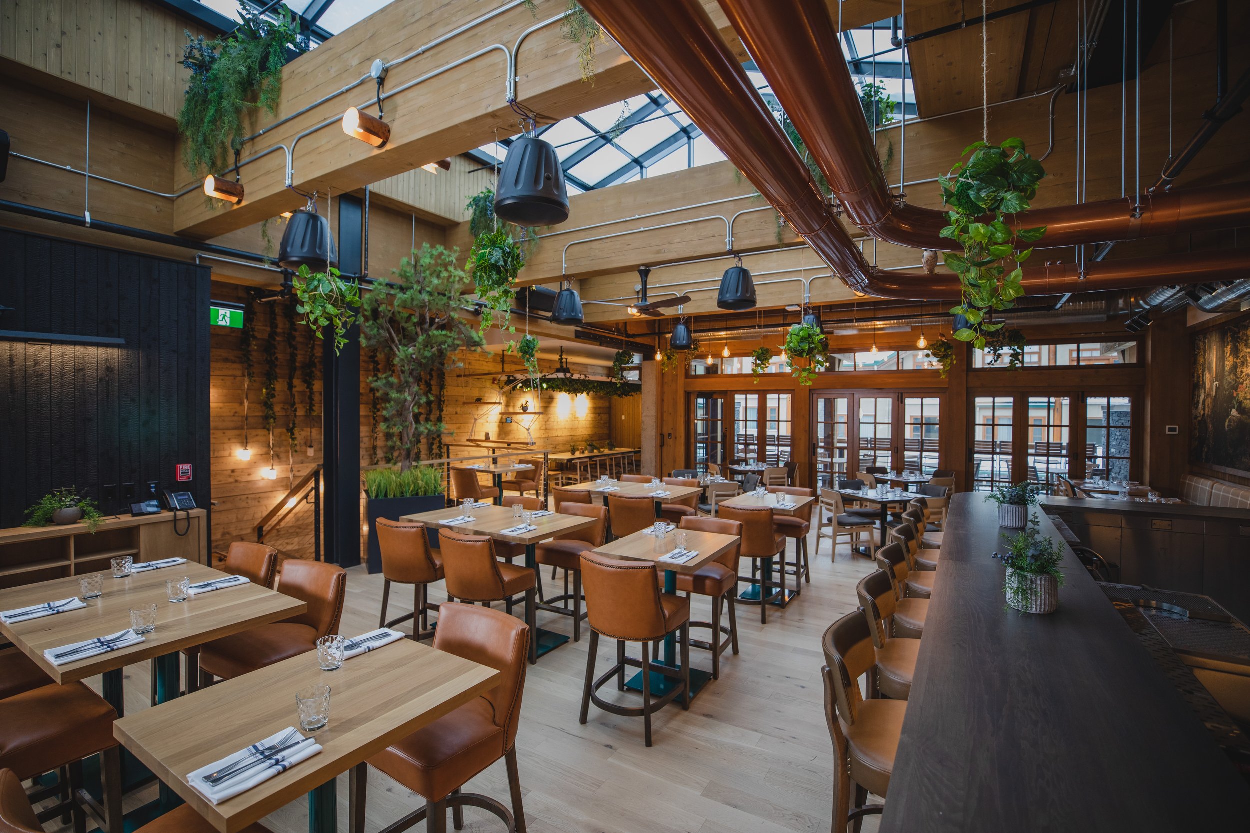 The wood-lined beer garden at Three Bears, with hanging plants and a glass roof